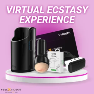 Virtual Ecstasy Experience
